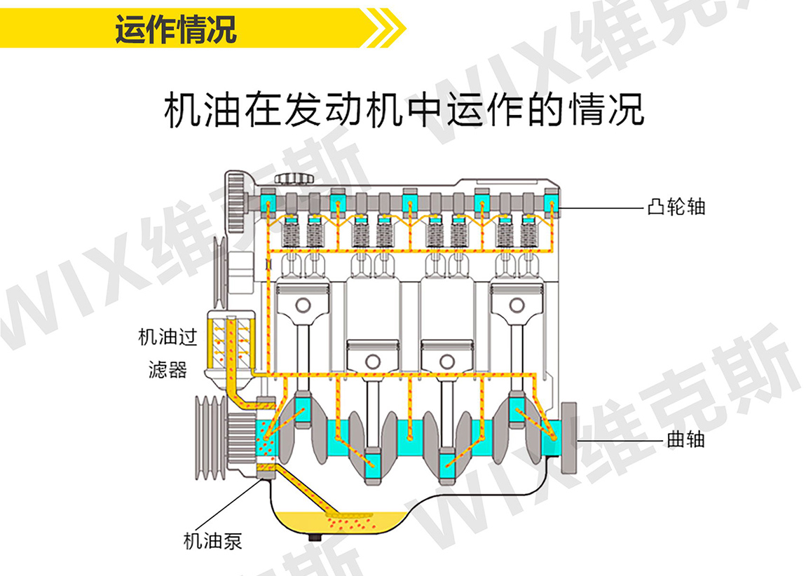 SN0W-40_看图王_04.jpg